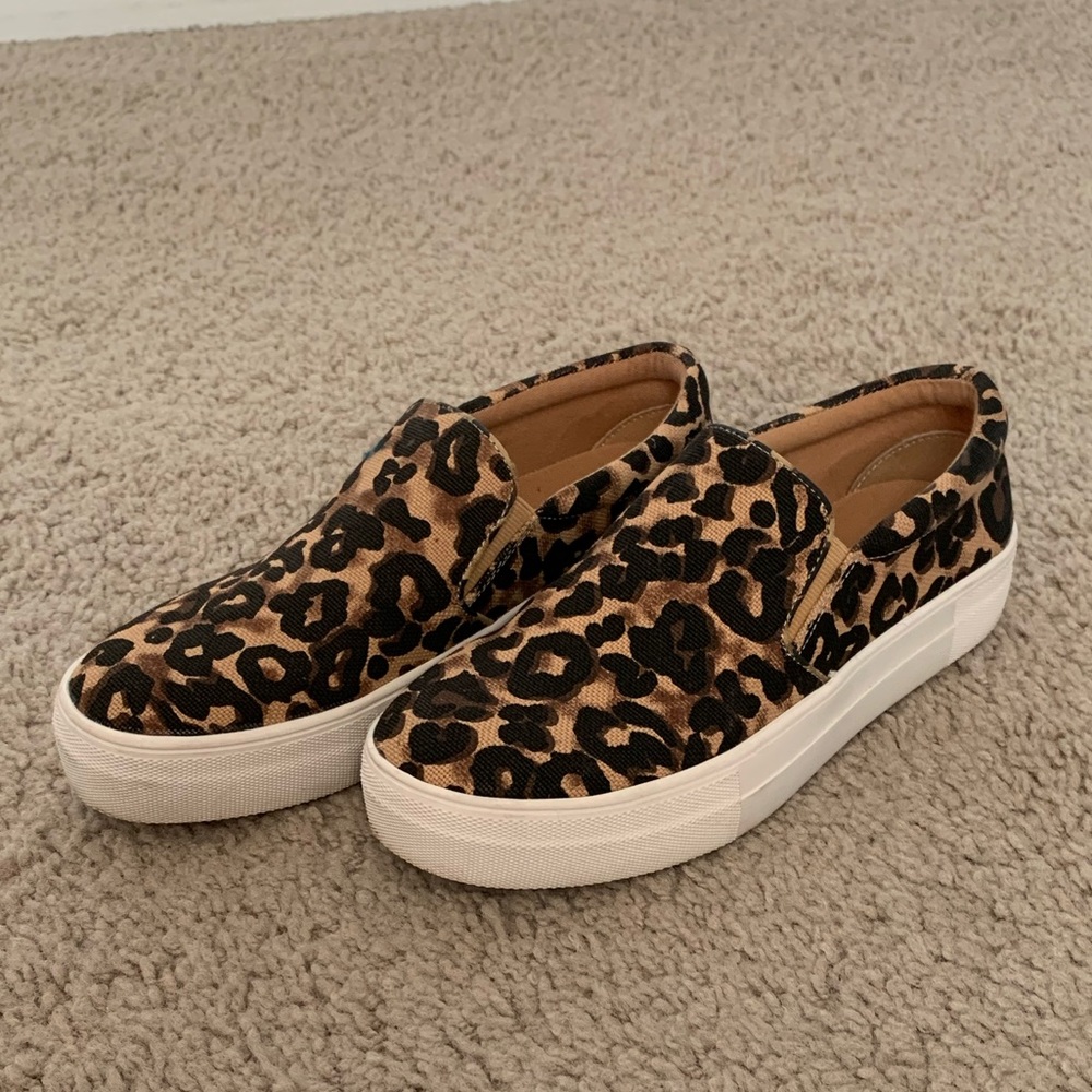 Steve Madden Gills sneakers